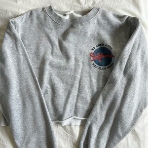 brandy melville cropped crewneck